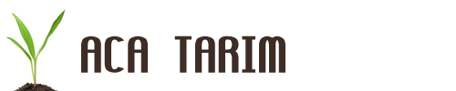 ACA TARIM